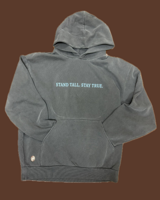 Summit Hoodie